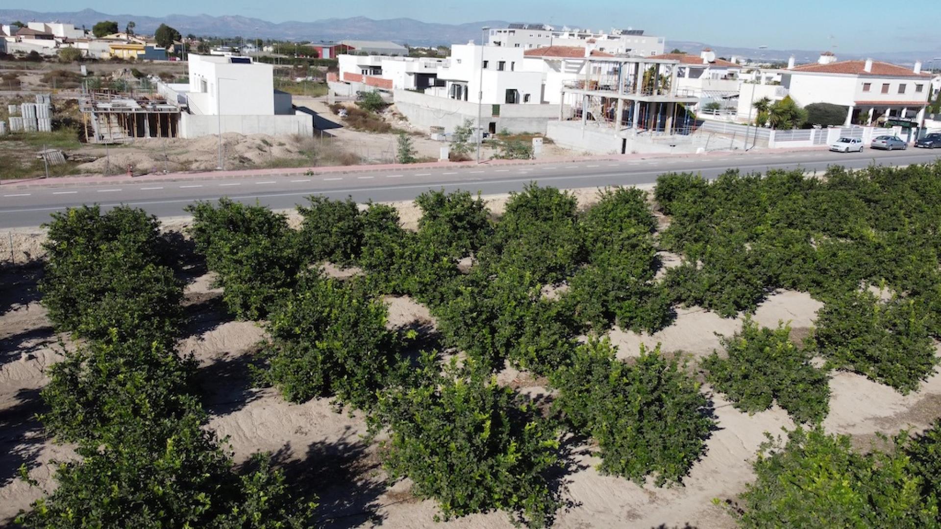 3 chambre Villa à Daya Nueva - Nouvelle construction in Medvilla Spanje